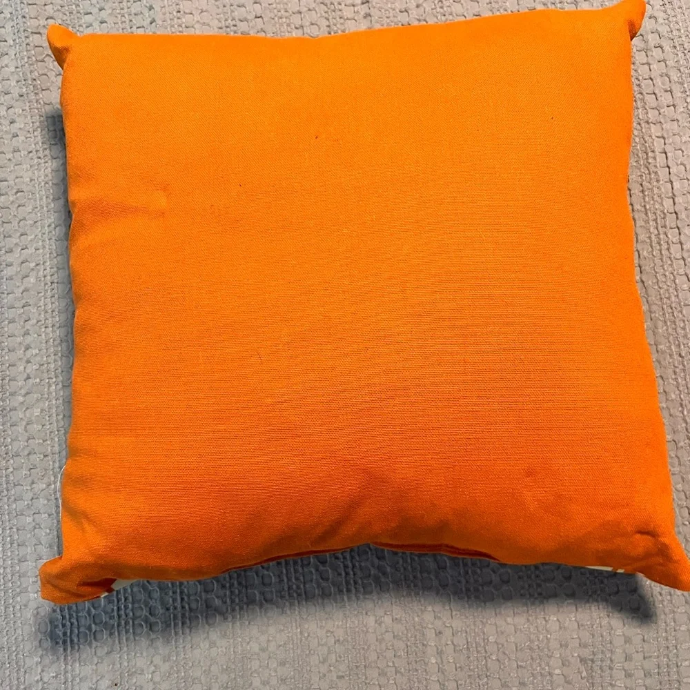 Hobby Lobby Orange Fall Pillow #9B